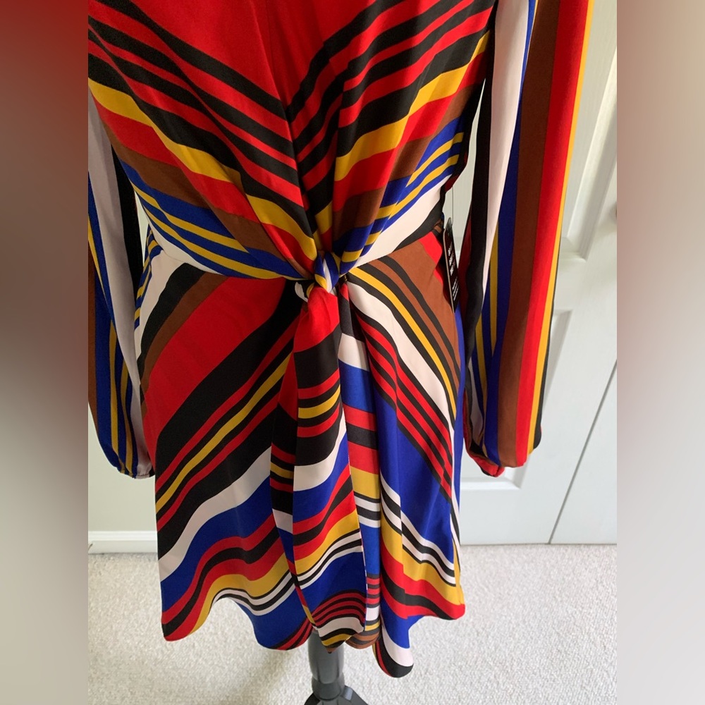 Express Dress - Picture 3 of 4